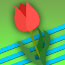 Icône du serveur 🌹 Champ de tulipes
