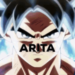 Icône du serveur ARITA