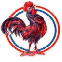 Icône du serveur Le Gaulois