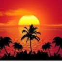 Icône du serveur 🌴Riri56🌴
