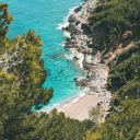 Icône du serveur Île Déconfinée