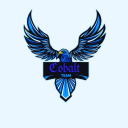 Icône du serveur Cobalt Team