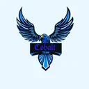 Icône du serveur Cobalt Team