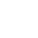 Icône du serveur ElysiaStudio