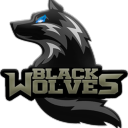 Icône du serveur The Black Wolves Of Helheim®