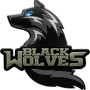 Icône du serveur The Black Wolves Of Helheim®