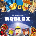 Icône du serveur Roblox Fr