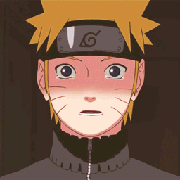 Icône du serveur 🍚 Naruto RôlePlay 🍚 FR