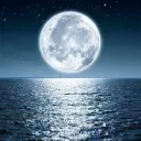 Icône du serveur MoonLight