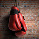 Icône du serveur 🥊・RING