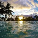 Icône du serveur 🌴 𝐈𝐬𝐥𝐚𝐧𝐝