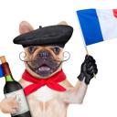 Icône du serveur {RP} La France du XXe siècle