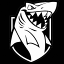 Icône du serveur UNETHICAL DIVISION