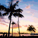 Icône du serveur ⚡ | Miami | ⚡
