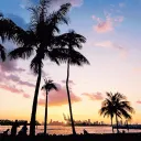 Icône du serveur ⚡ | Miami | ⚡