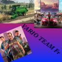 Icône du serveur team vario fr