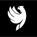 Icône du serveur PAZ
