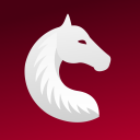 Icône du serveur Cavaly | Application équestre