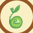 Icône du serveur Phronesis