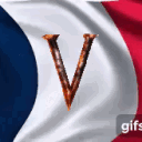 Icône du serveur ✅ Valheim France