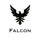 Icône du serveur Falcon