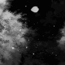 Icône du serveur Xenon Community