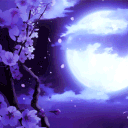 Icône du serveur 🔮・LIZA
