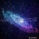 Icône du serveur Luno paradise