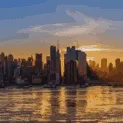 Icône du serveur New York city