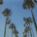 Icône du serveur Beverly Hills Return