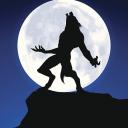 Icône du serveur 🐺THE WOLF GANG 🌑