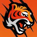 Icône du serveur Tiger pub 🐯
