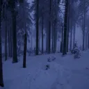 Icône du serveur ˚ Kozzy❄