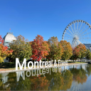 Icône du serveur Montréal 