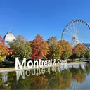 Icône du serveur Montréal & Friends
