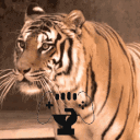 Icône du serveur 𝔹𝕒𝕕 ℂ𝕠𝕞𝕡𝕒𝕟𝕪