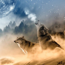 Icône du serveur LilWolf