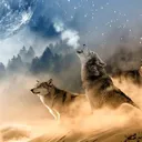 Icône du serveur LilWolf