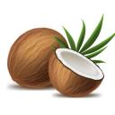 Icône du serveur 🥥・Coconut