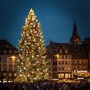 Icône du serveur Musique de noel