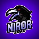 Icône du serveur NIROR E-Sport