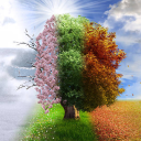 Icône du serveur Seasons & Co