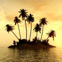Icône du serveur 🏝・The Oasis・42