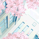 Icône du serveur 🏫LYCÉE TOROHY IKAI🏫『rp』