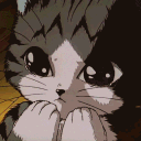 Icône du serveur Animesh Community