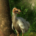 Icône du serveur La forêt des oiseaux