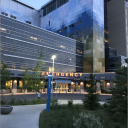 Icône du serveur RP/ Chiryo hospital