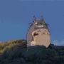 Icône du serveur Studio Ghibli