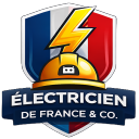 Icône du serveur Électriciens de France and Co.