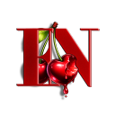 Icône du serveur 🇫🇷 𝗡𝗨𝗗𝗘 𝗙𝗥𝗔𝗡𝗖𝗘 🇫🇷